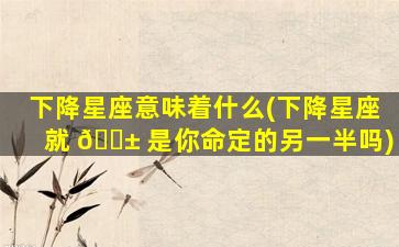 下降星座意味着什么(下降星座就 🐱 是你命定的另一半吗)